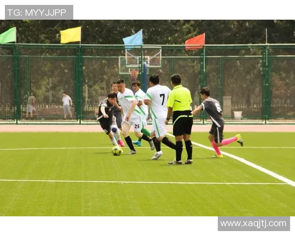 瑞典与罗马尼亚精彩对决集锦回顾分析与精彩瞬间分享